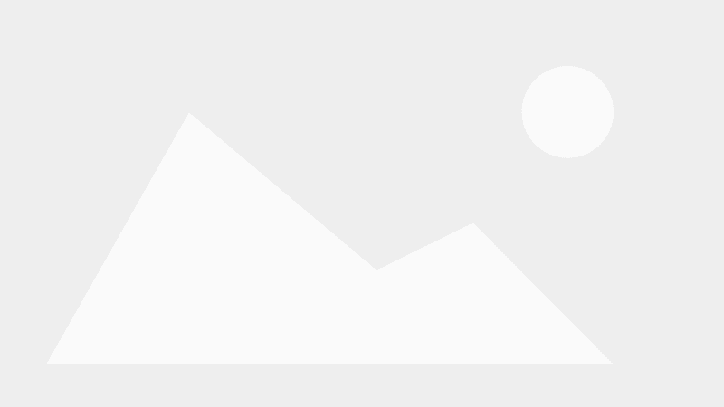 Color Hybrid formiddagsbuffet