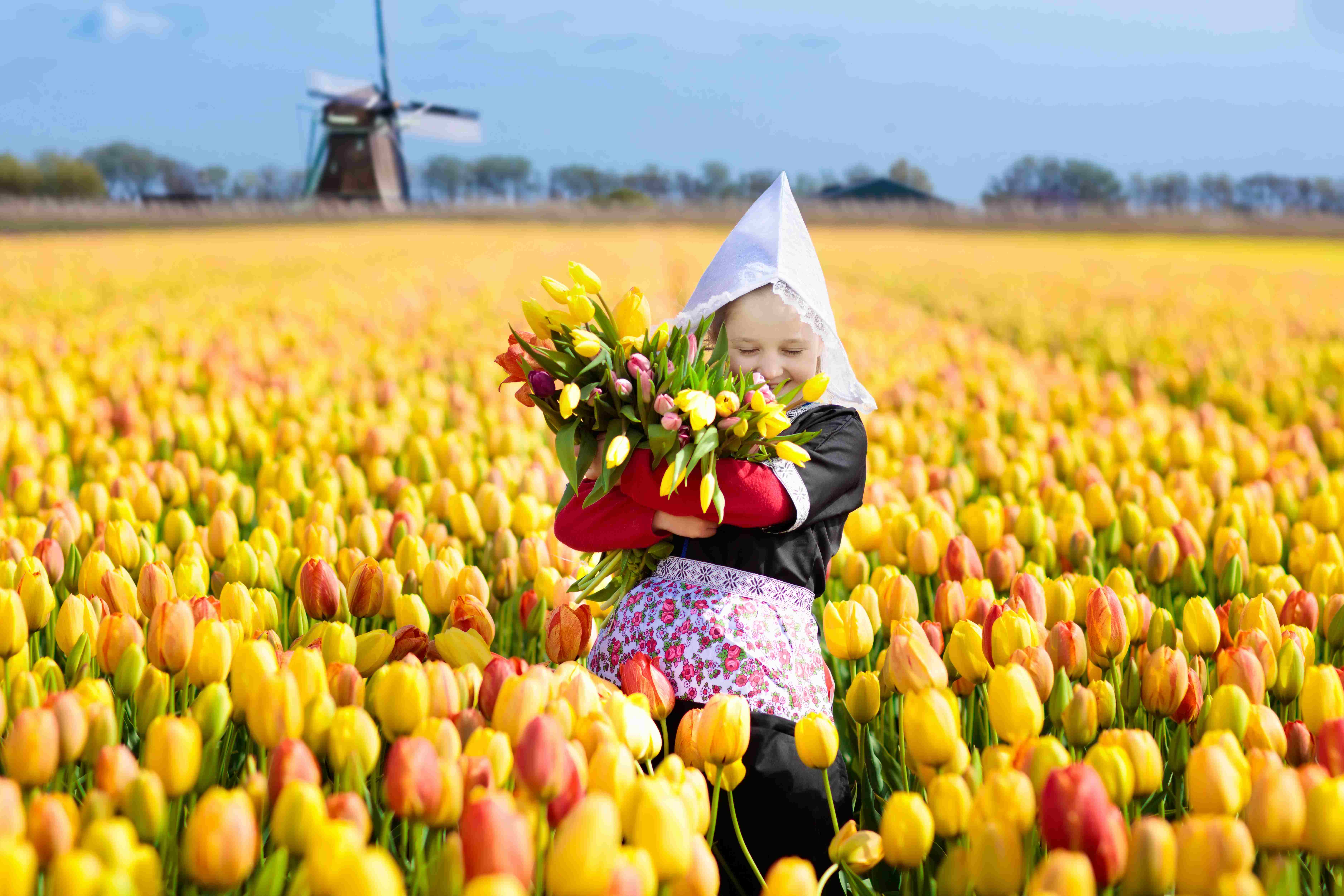 Blomstring i Holland 20. april